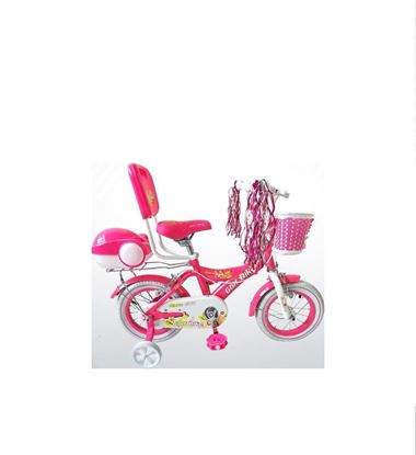 دوچرخه-بچه-گانه-مدل-ckg12-m04-12189